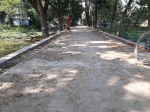 RCC মল্লিকপুর গুদাড়াঘাট রাস্তা নির্মাণ।